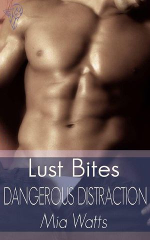 [Boys in Blue 03] • Dangerous Distraction